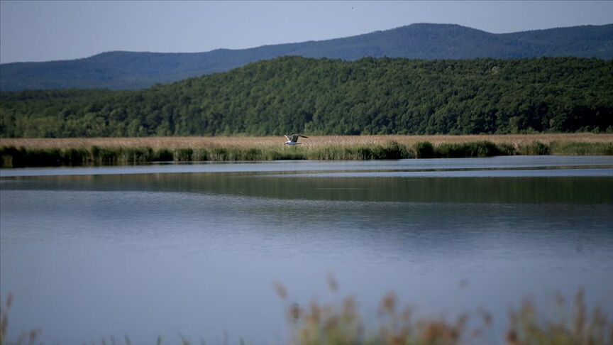Kaymakamlık yasağı açıkladı: Kırklareli Vize'de 2 gün denize girilemeyecek! İşte nedeni... Kaymakamlık yasağı açıkladı: Kırklareli Vize'de 2 gün denize girilemeyecek! İşte nedeni... - 1. Resim