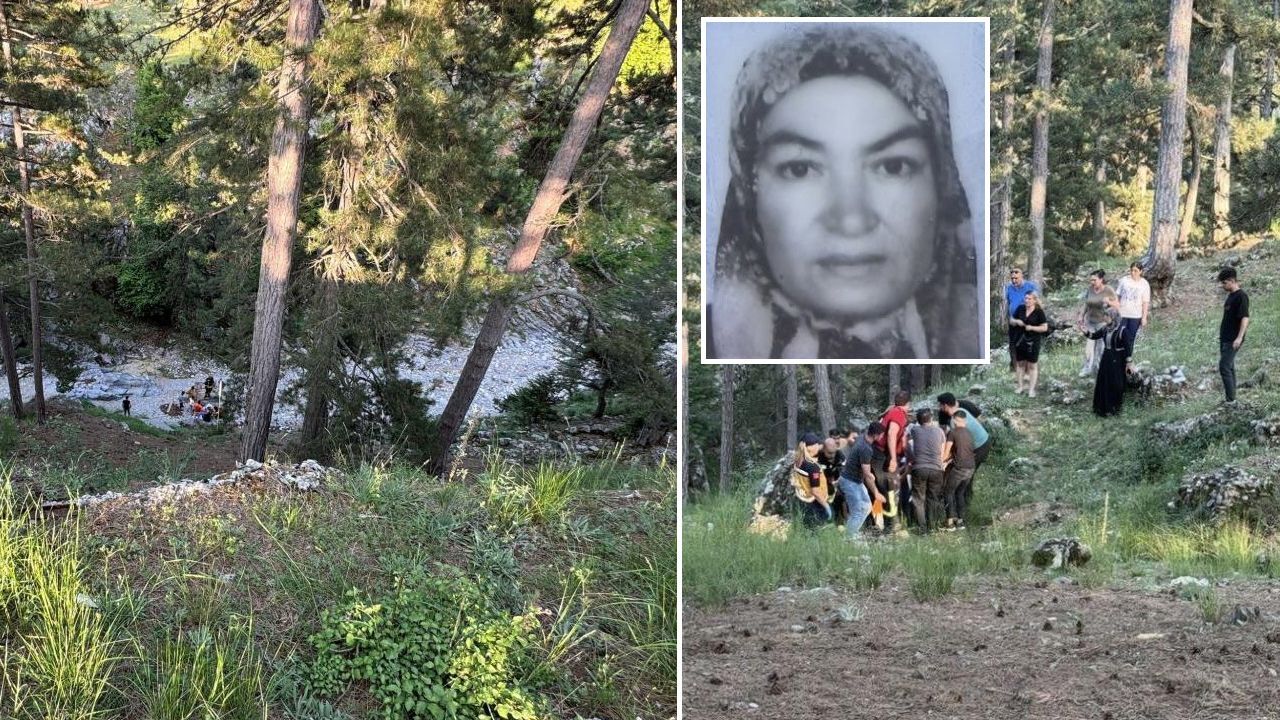 Mersin'de korkunç olay! Kekik toplamak isteyen kadın uçurumdan yuvarlandı Mersin'de korkunç olay! Kekik toplamak isteyen kadın uçurumdan yuvarlandı