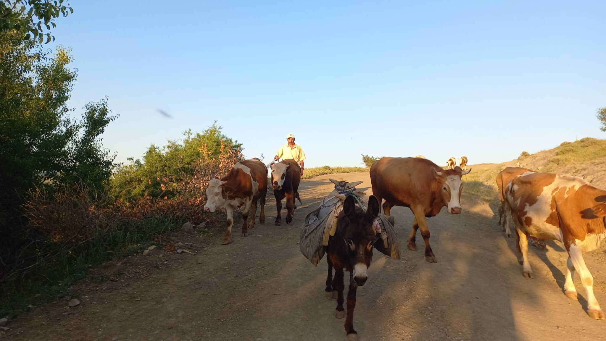 80 bin lira maaş, konaklama, yemek... Her şey dahil bu işi kabul eden yok! 80 bin lira maaş, konaklama, yemek... Her şey dahil bu işi kabul eden yok! - 4. Resim