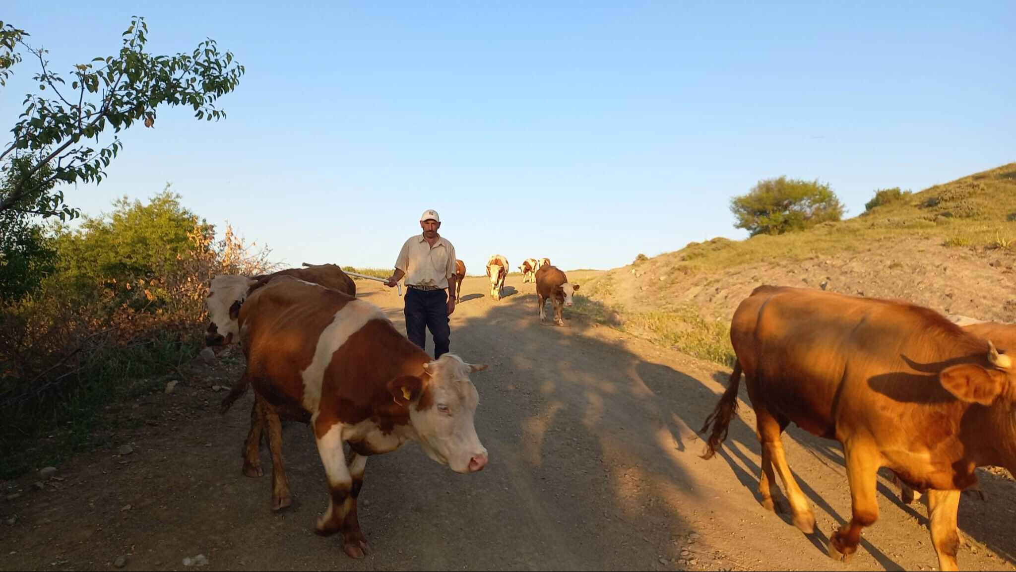 80 bin lira maaş, konaklama, yemek... Her şey dahil bu işi kabul eden yok! 80 bin lira maaş, konaklama, yemek... Her şey dahil bu işi kabul eden yok! - 3. Resim