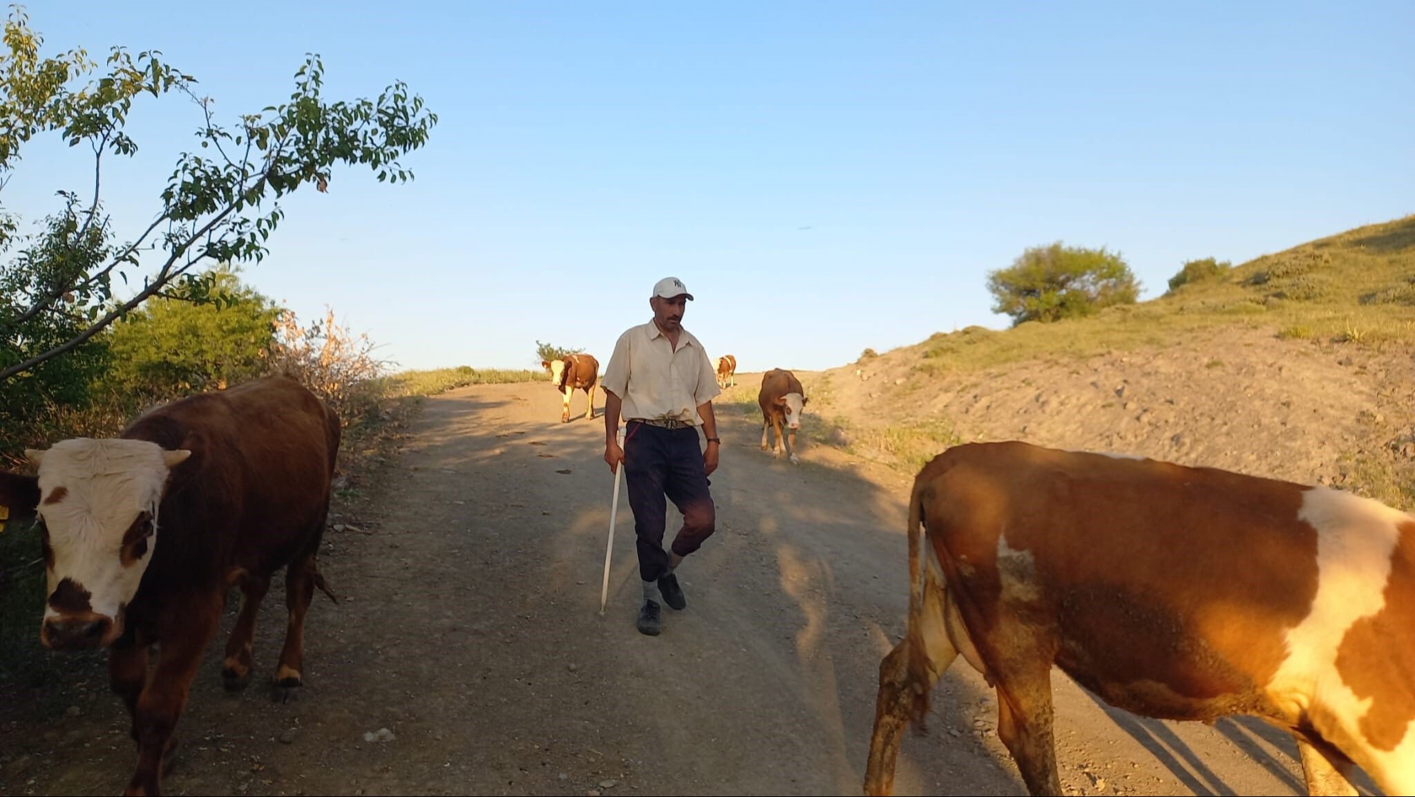 80 bin lira maaş, konaklama, yemek... Her şey dahil bu işi kabul eden yok! 80 bin lira maaş, konaklama, yemek... Her şey dahil bu işi kabul eden yok! - 2. Resim