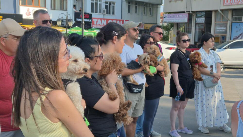 Evcil hayvanlarını köpek oteline bıraktılar! Kahreden haber sonrası aile davacı oldu Evcil hayvanlarını köpek oteline bıraktılar! Kahreden haber sonrası aile davacı oldu - 1. Resim
