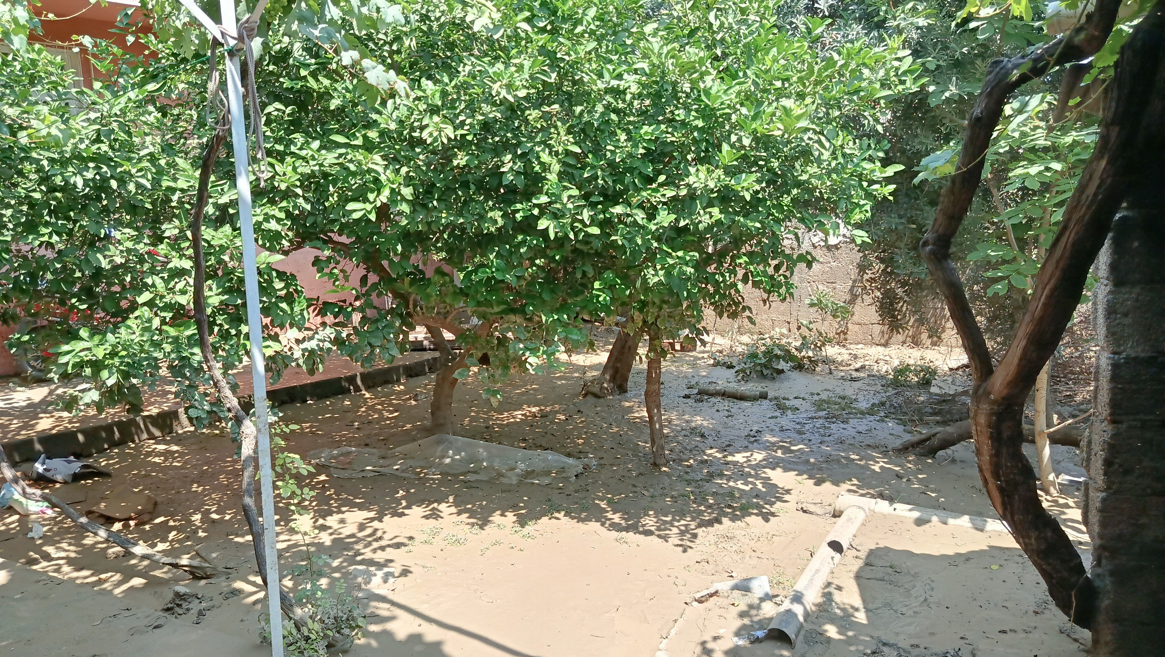 Gece kabusu yaşadılar... Evlerinde ne var ne yok gitti! 