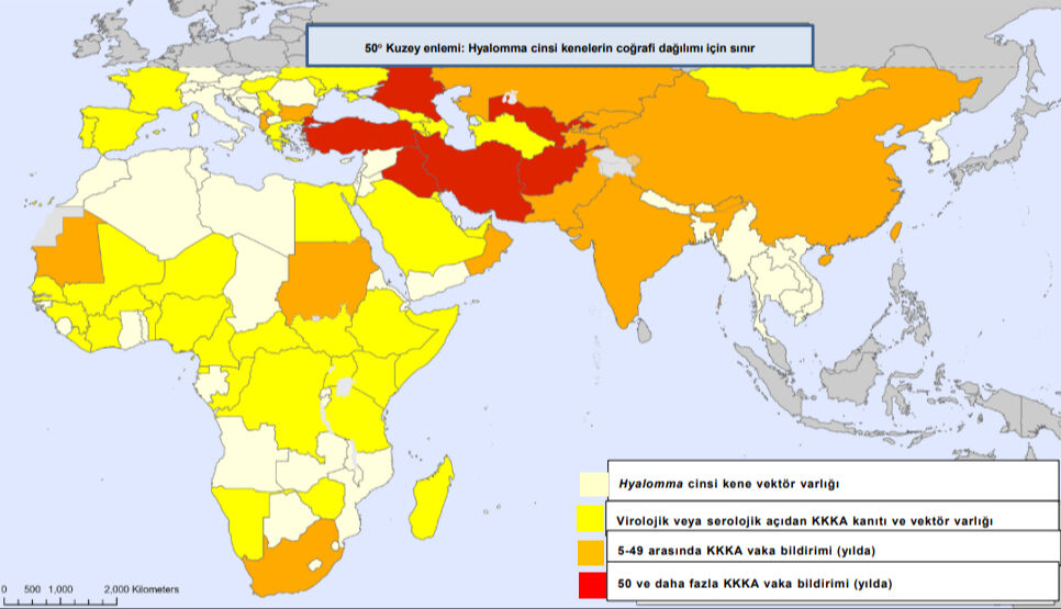 Kene ölümleri neden arttı? Vatandaş isyan etti, uzmanlar hak verdi: Keklik avı yasaklansın! - 3. Resim