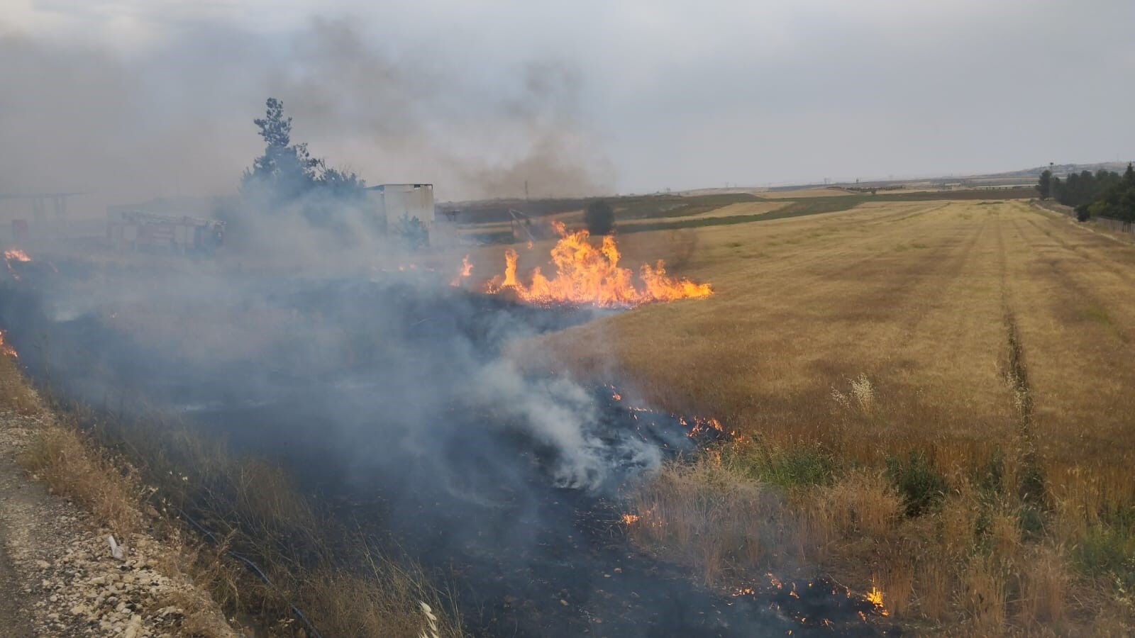 Korkutan orman yangını! Alevlerin petrol istasyonuna sıçraması an meselesiydi, seferber oldular - 1. Resim