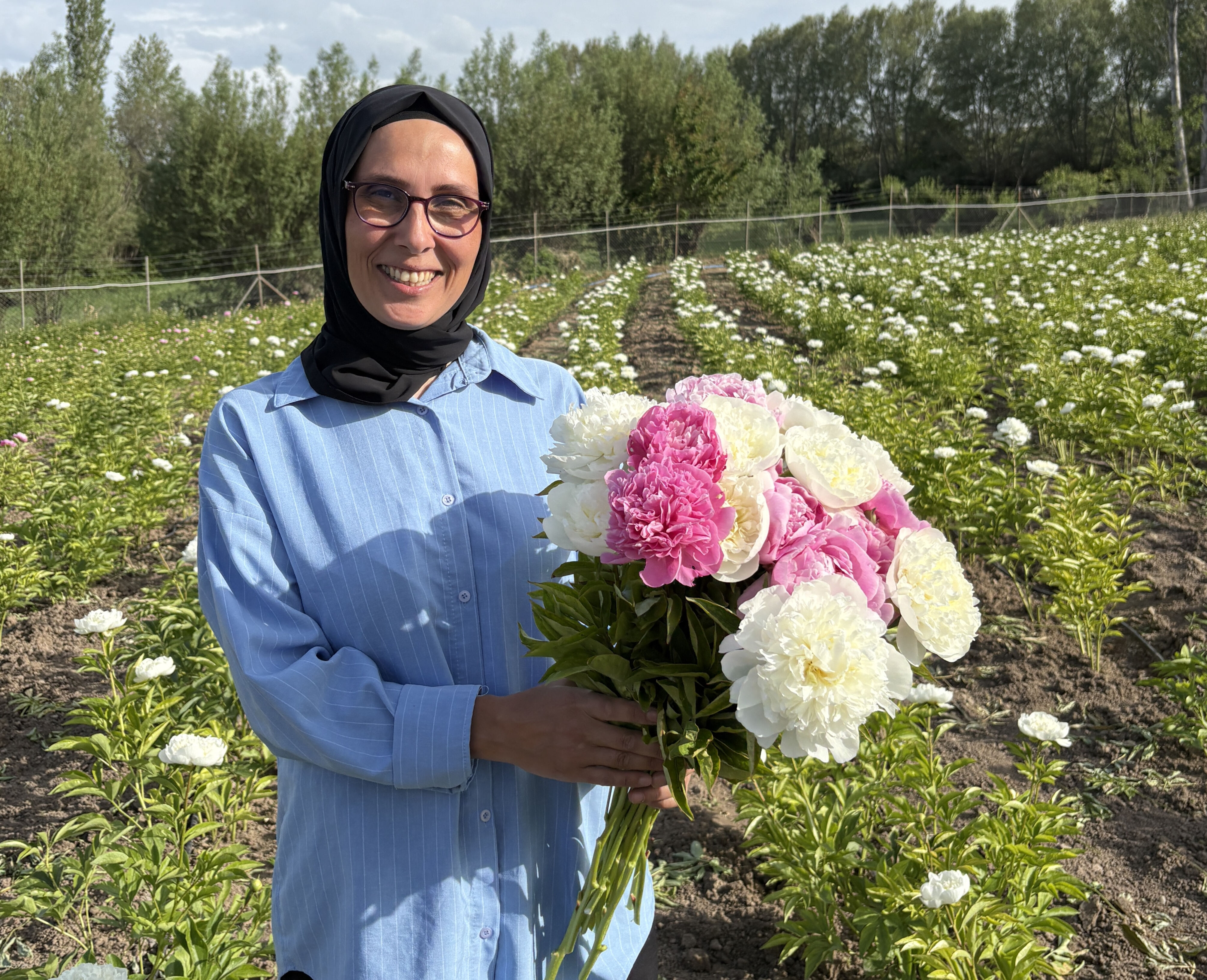 Şakayık hasadı başladı, üreticinin yüzü gülüyor: Ticari açıdan güzel rakama satılıyor - 3. Resim