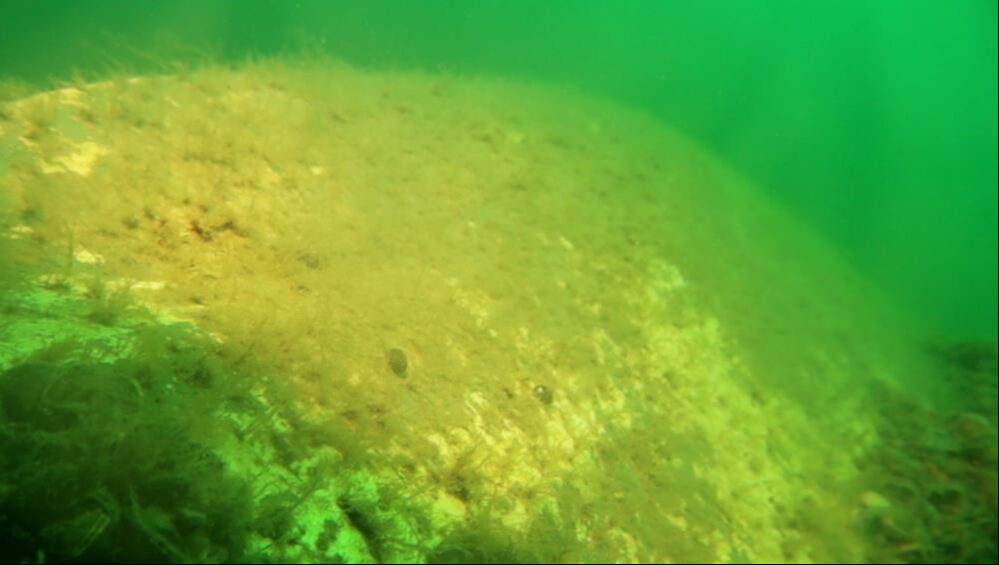 Sapanca Gölü'ne düşmüştü... Uçağın enkazı 53 yıl sonra görüntülendi - 3. Resim