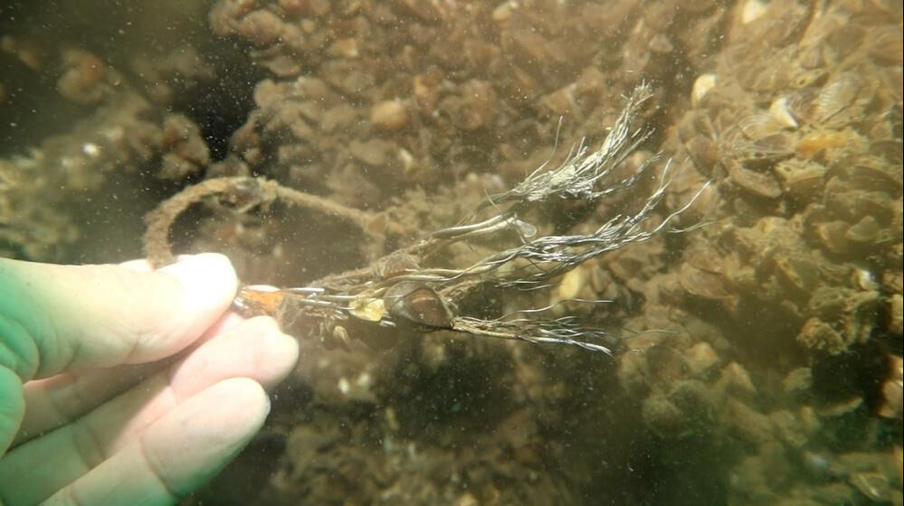 Sapanca Gölü'ne düşmüştü... Uçağın enkazı 53 yıl sonra görüntülendi - 2. Resim
