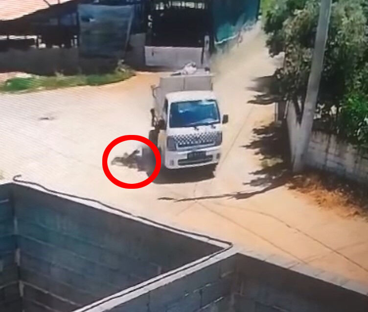 Çöp kamyonundan düşen belediye işçisi yoğun bakımda! Dehşet anları kamerada Çöp kamyonundan düşen belediye işçisi yoğun bakımda! Dehşet anları kamerada - 1. Resim