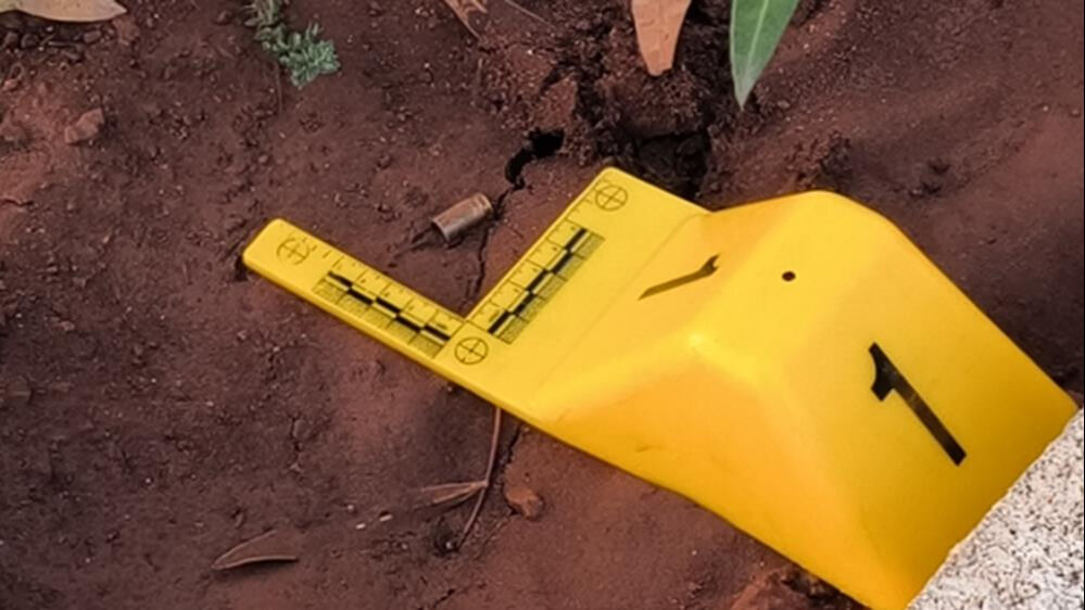 Tavuklarını beslerken canından oldu! Olayın aslı kahretti, pisi pisine... - 5. Resim