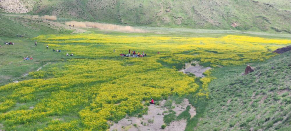Yerli yabancı turistler akın ediyor! İnsanlar görebilmek için sıcağın altında 45 dakika yürüyor - 6. Resim