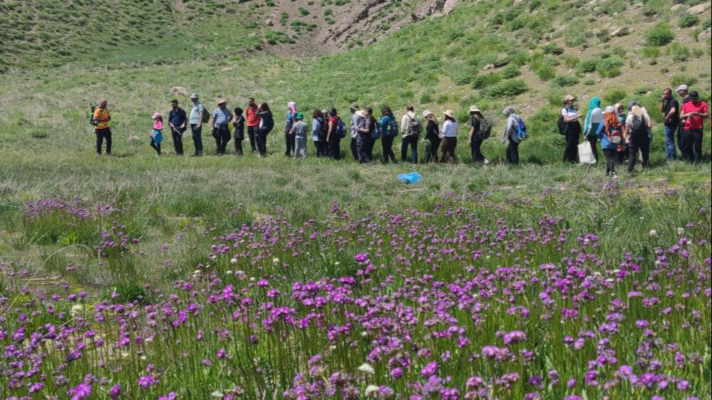 Yerli yabancı turistler akın ediyor! İnsanlar görebilmek için sıcağın altında 45 dakika yürüyor - 3. Resim