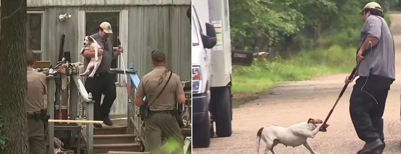 15 yaşındaki hayvan sever genç kız başıboş köpekler tarafından parçalandı - 1. Resim