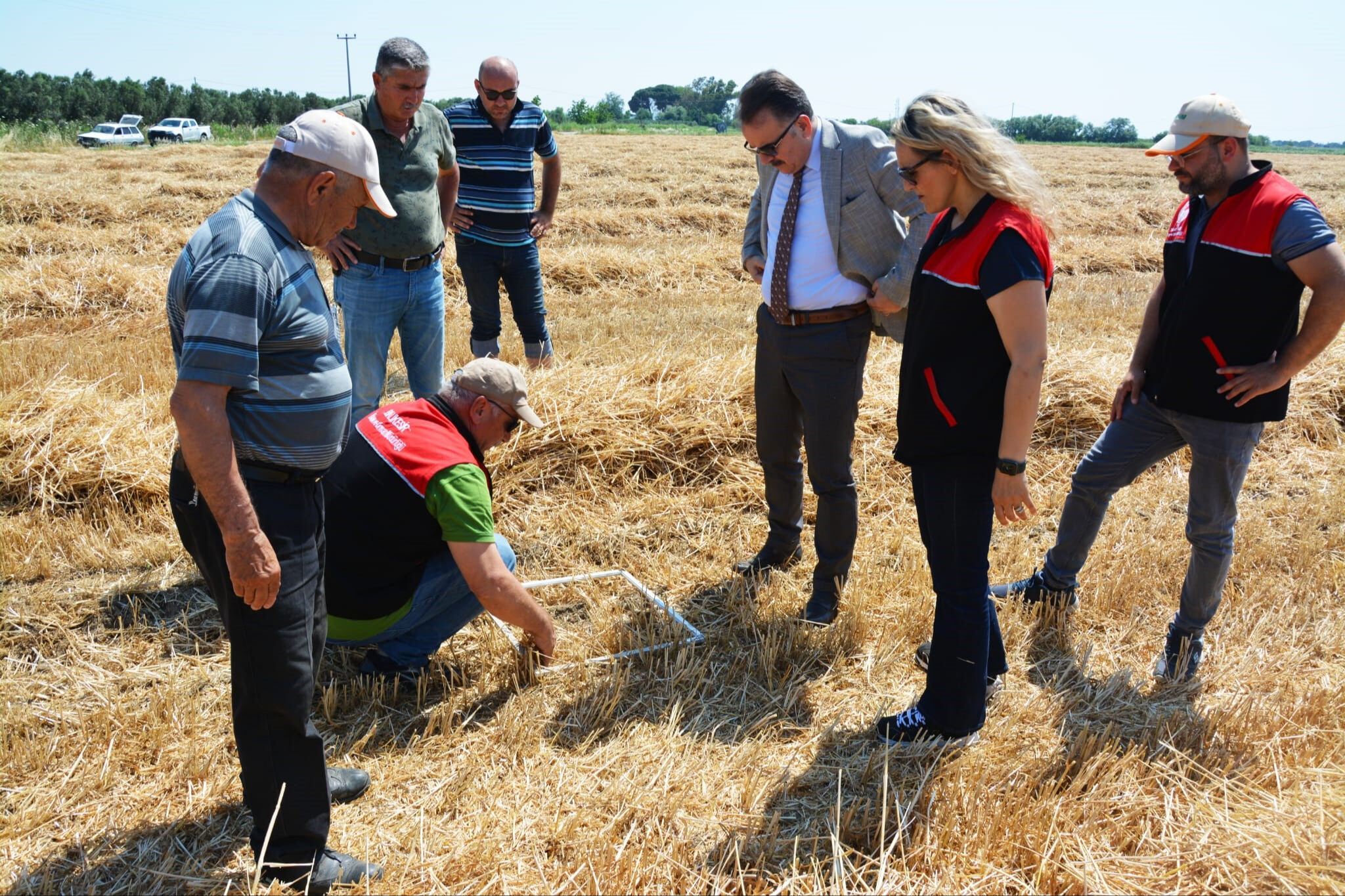 Çiftçi için bereketli olsun! Hasat başladı - 2. Resim