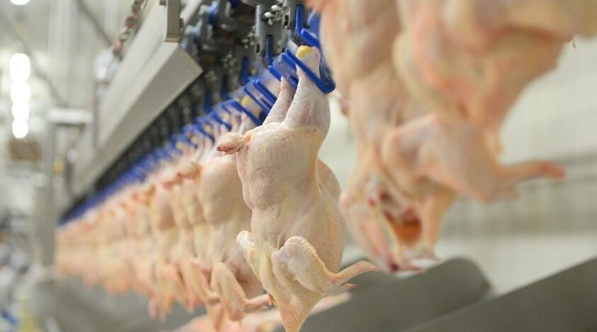 Yumurtadan sonra o da ucuzluyor! Fiyatlardaki düşüş vatandaşın yüzünü güldürdü - 1. Resim