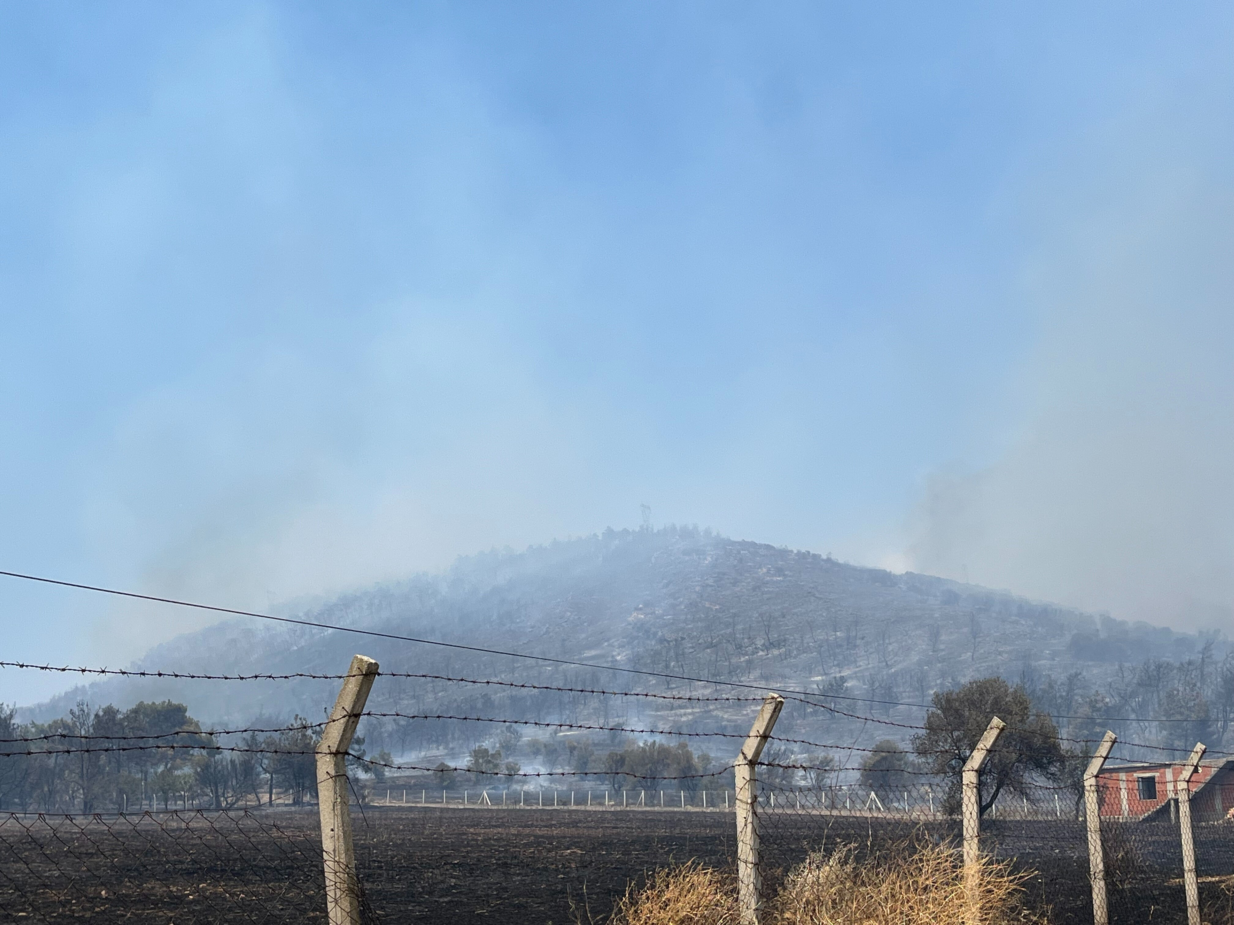 Foça'da korkutan yangın! Çok sayıda ekip olay yerinde - 4. Resim