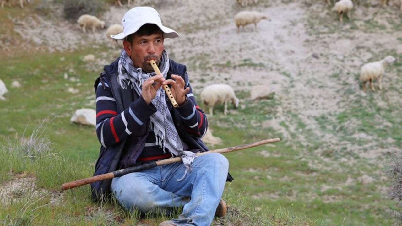 Hayvancılıkta yeni şartlar: İşte yabancı çoban kriterleri... Hayvancılıkta yeni şartlar: İşte yabancı çoban kriterleri...