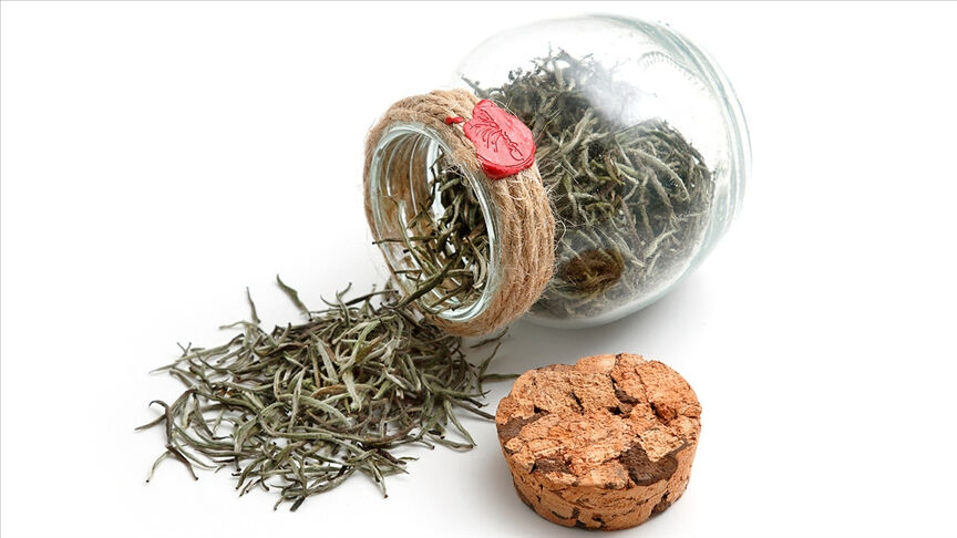 Kilosu 2 bin 500 TL! Fiyatı cep yakıyor ama yazın yok satıyor: Yağ yakıyor, tok hissettiriyor, direnç artırıyor - 2. Resim