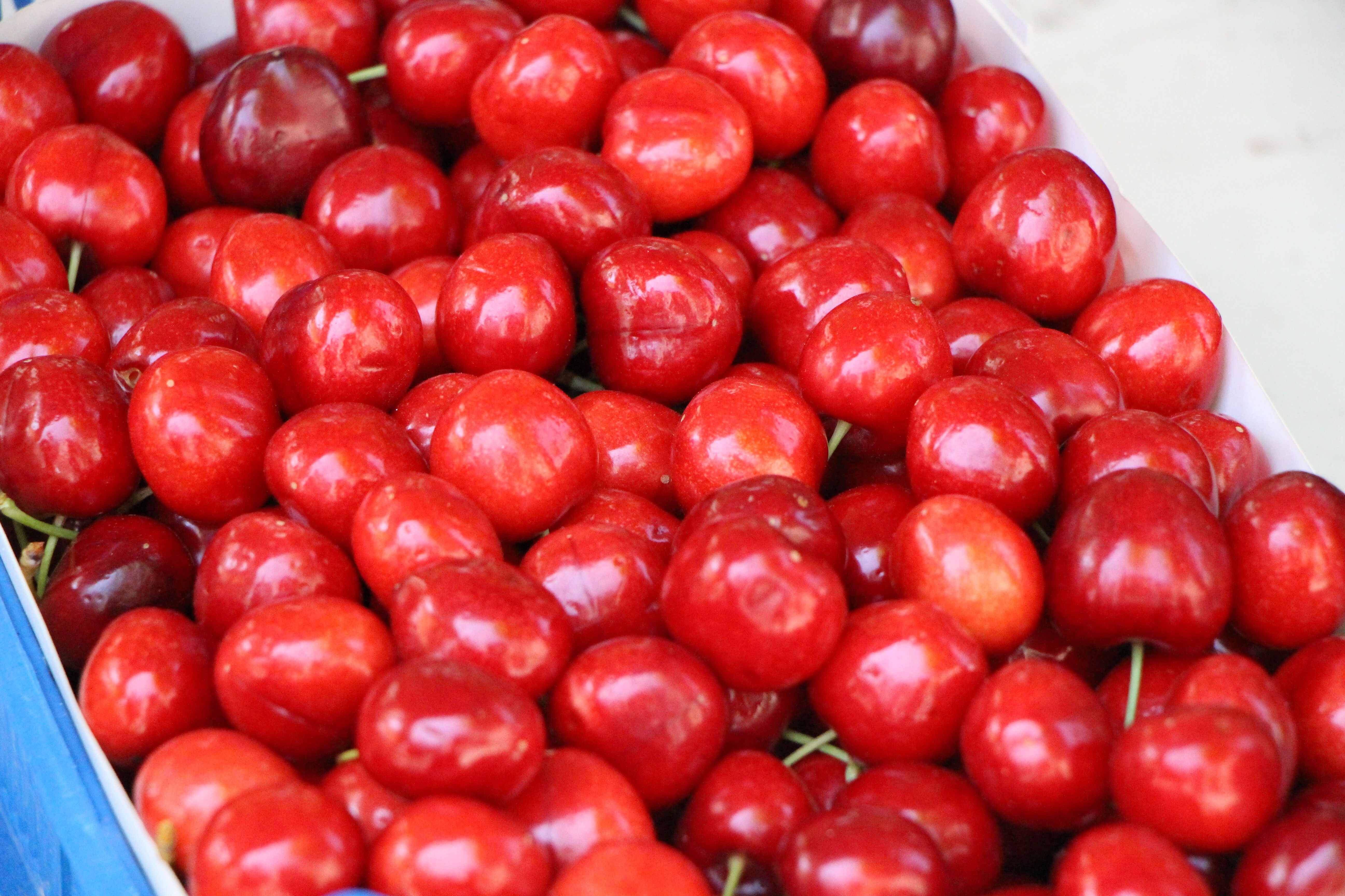 Kilosu 500 liraya çıktı! 63 yıldır yarışması yapılıyordu, bu yıl ağaçlarda bir tane meyve yok Kilosu 500 liraya çıktı! 63 yıldır yarışması yapılıyordu, şimdi ağaçlarda bir tane meyve yok - 4. Resim