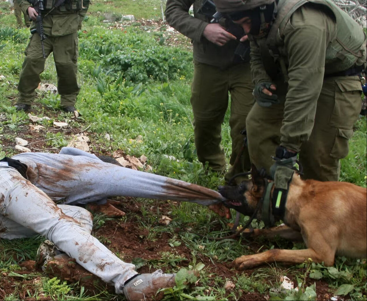 Köpekler bile silah oldu! Avrupa'dan gelen vahşet çocukların üstüne salındı - 1. Resim