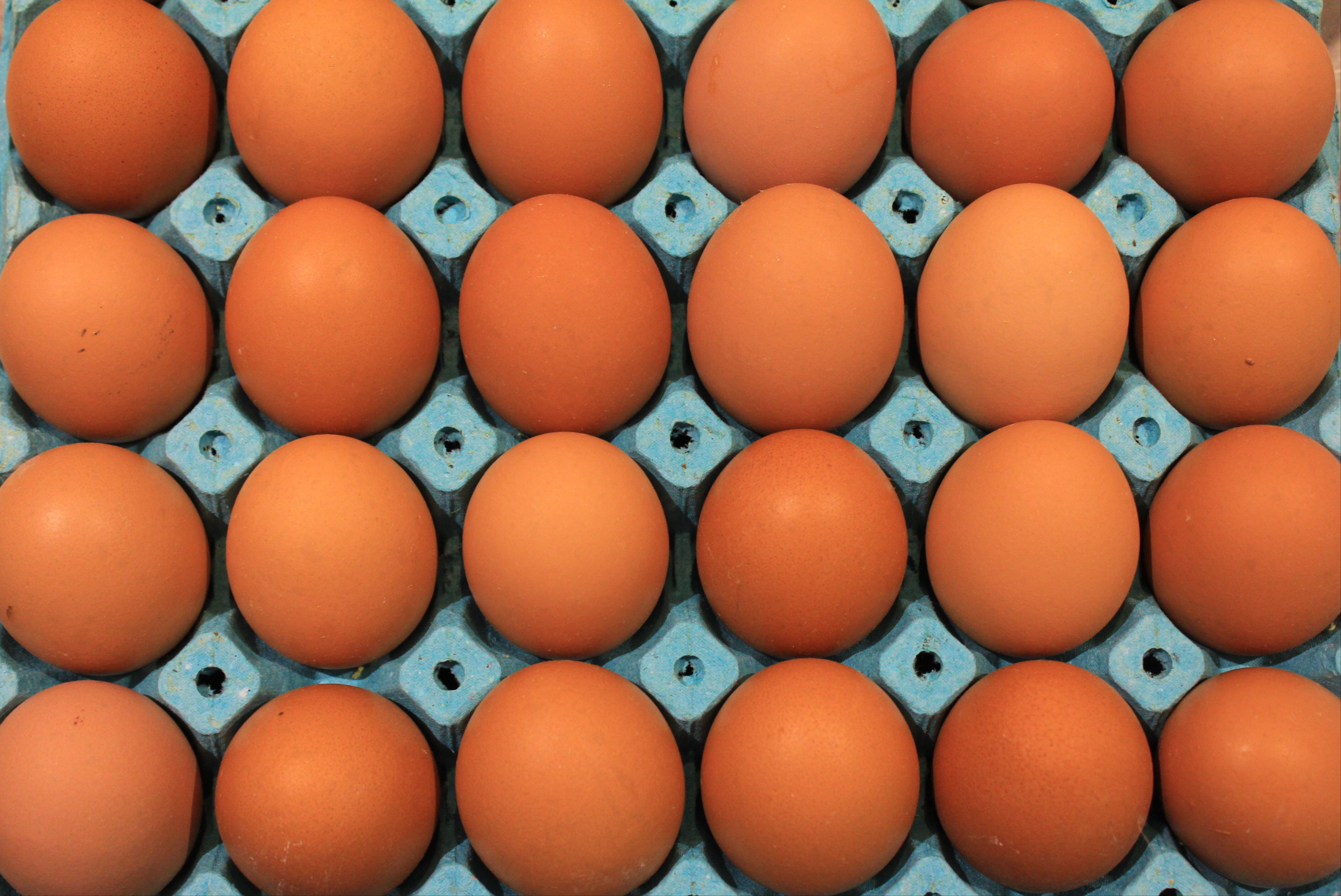 Yumurta fiyatlarının neden arttığı ortaya çıktı - 2. Resim