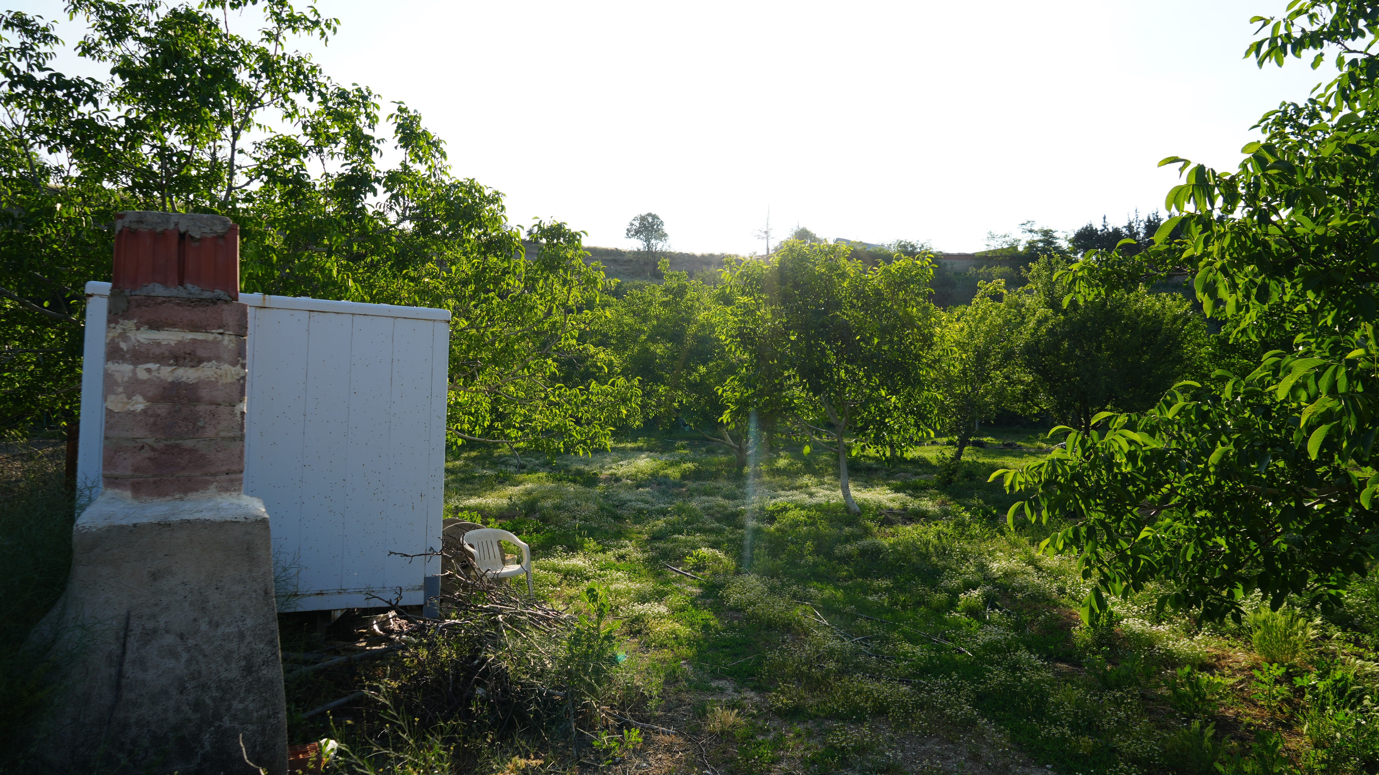30 yıllık emeğini jandarmaya bağışladı! 