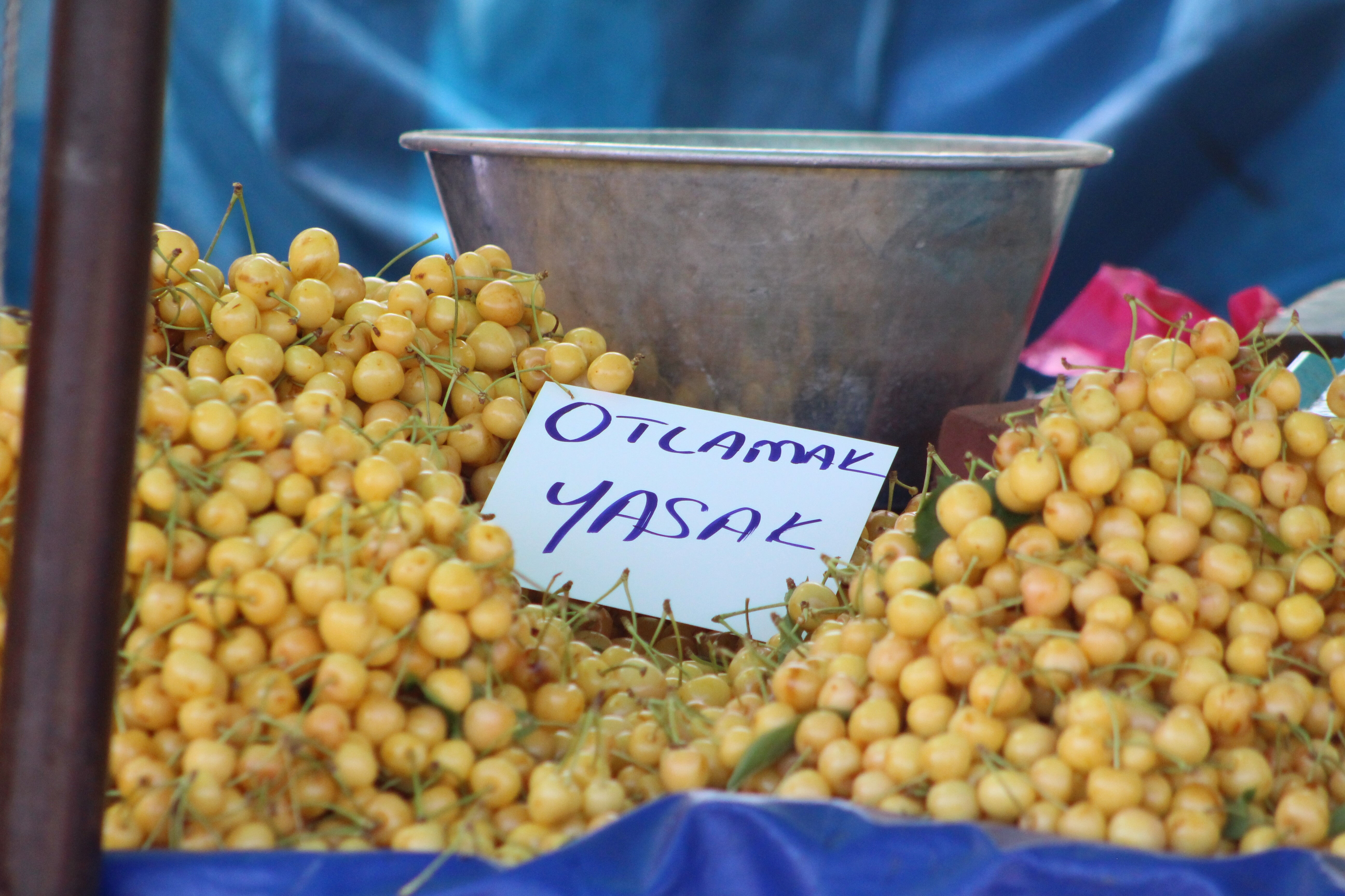 500 TL'den satıyor ama insanlık yok! Kiraz tezgahında tepki çeken etiket: 'Otlamak yasaktır' - 3. Resim