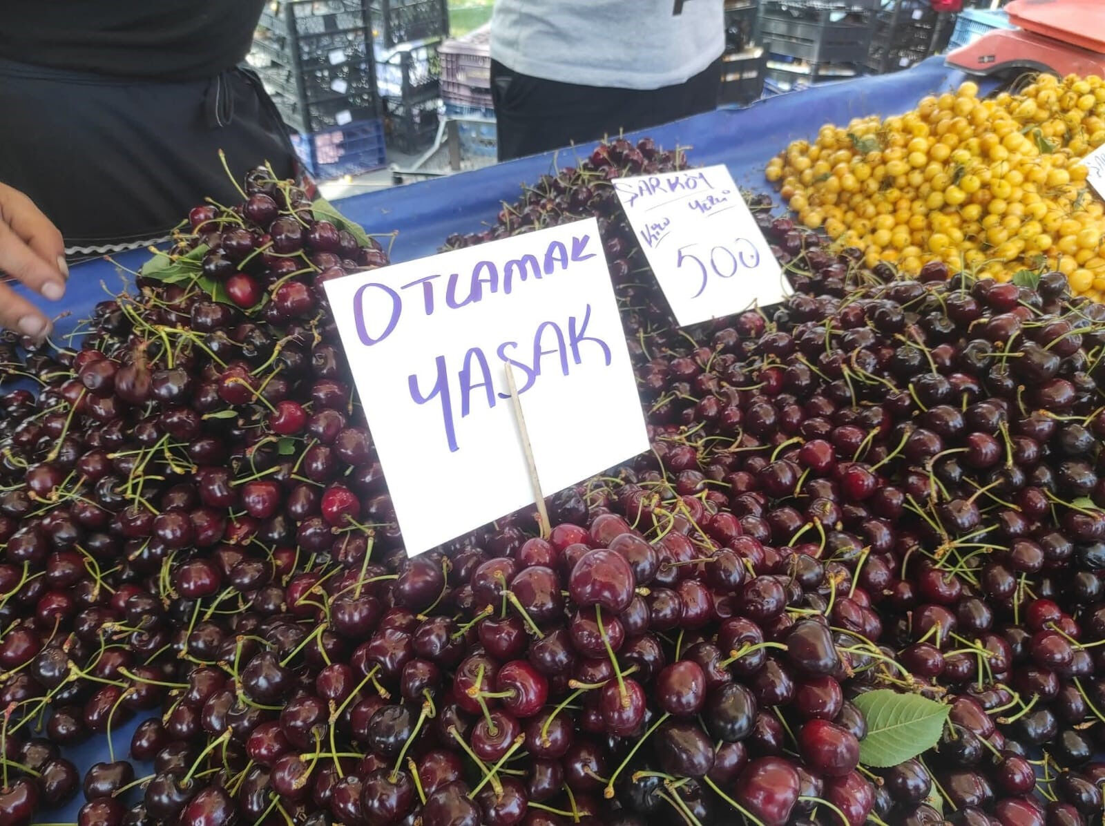 500 TL'den satıyor ama insanlık yok! Kiraz tezgahında tepki çeken etiket: 'Otlamak yasaktır' - 1. Resim