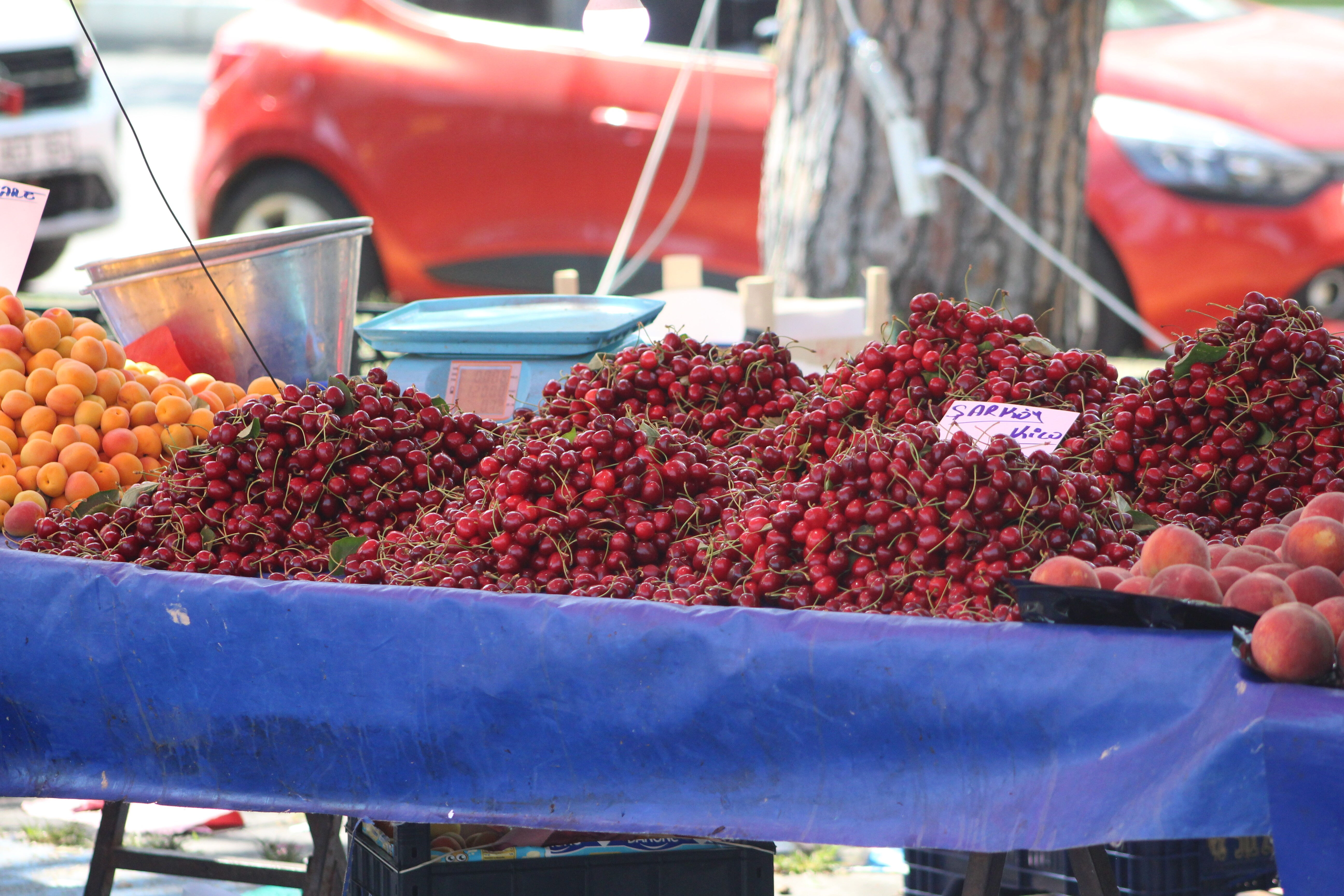 500 TL'den satıyor ama insanlık yok! Kiraz tezgahında tepki çeken etiket: 'Otlamak yasaktır' - 2. Resim