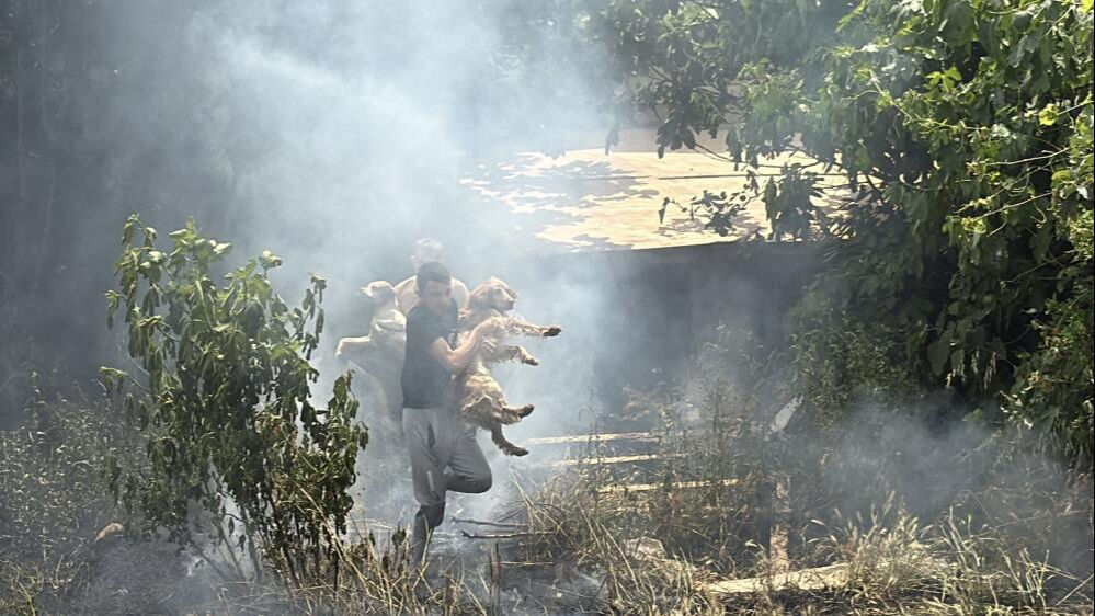 Alevlerin arasında kaldılar! Sahibi son anda yetişip hepsini kurtardı - 1. Resim
