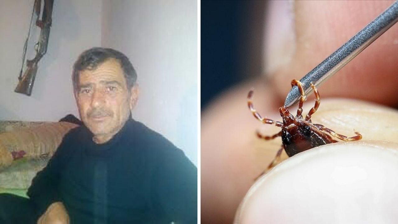 Bir kent diken üstünde! Keneden üçüncü ölüm Bir kent diken üstünde! Keneden üçüncü ölüm