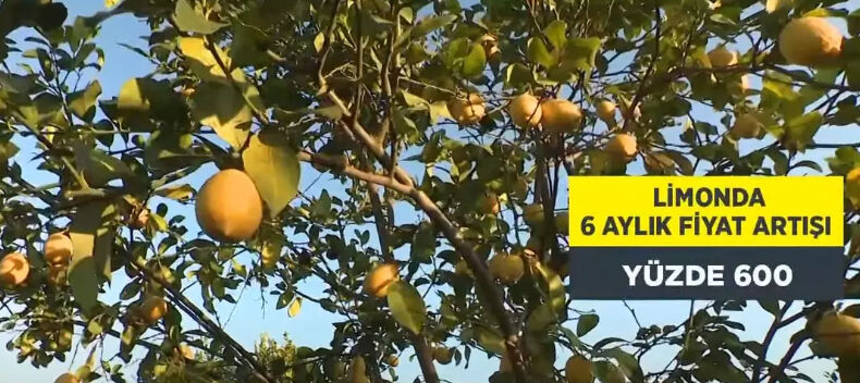 Fiyatı altı ayda yüzde 600 zamlandı! Beş ay önce 7 liraydı... - 1. Resim