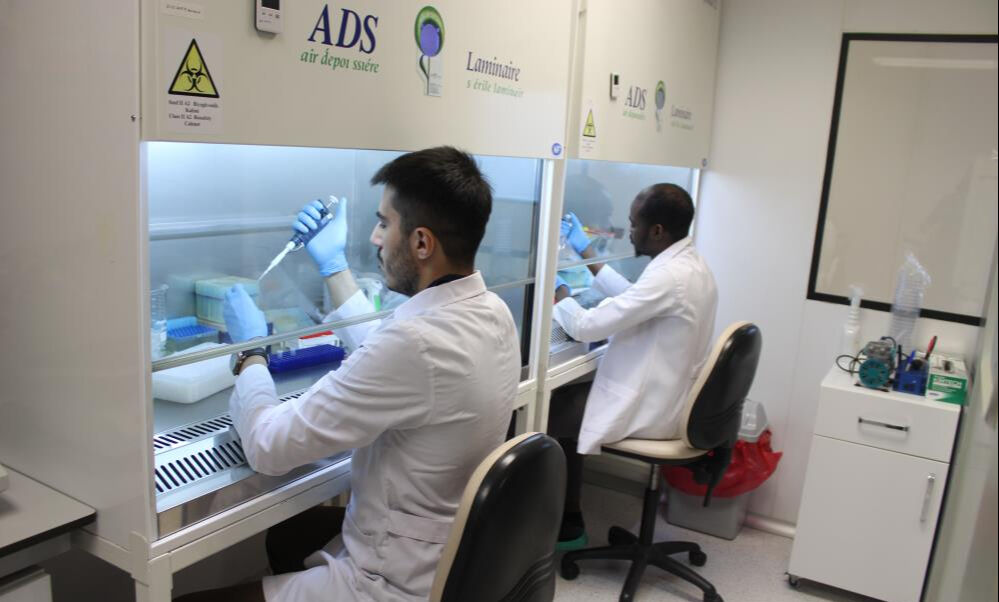 Milyonların kabusu artık tarihe karışacak! Kayseri'deki KKKA aşı çalışmalarında sona gelindi Milyonların kabusu artık tarihe karışacak! Kayseri'deki KKKA aşı çalışmalarında sona gelindi - 3. Resim