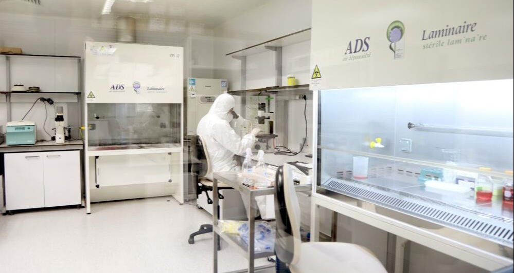 Milyonların kabusu artık tarihe karışacak! Kayseri'deki KKKA aşı çalışmalarında sona gelindi Milyonların kabusu artık tarihe karışacak! Kayseri'deki KKKA aşı çalışmalarında sona gelindi - 2. Resim