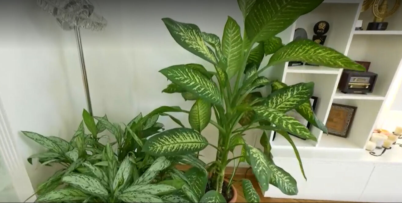 Murat Başaran eşi Ayten Öztürk'le yaşadığı evin kapılarını ilk kez açtı! Her detayı çok konuşuldu Murat Başaran eşi Ayten Öztürk'le yaşadığı evin kapılarını ilk kez açtı! Mütevazı evi gündem oldu - 3. Resim