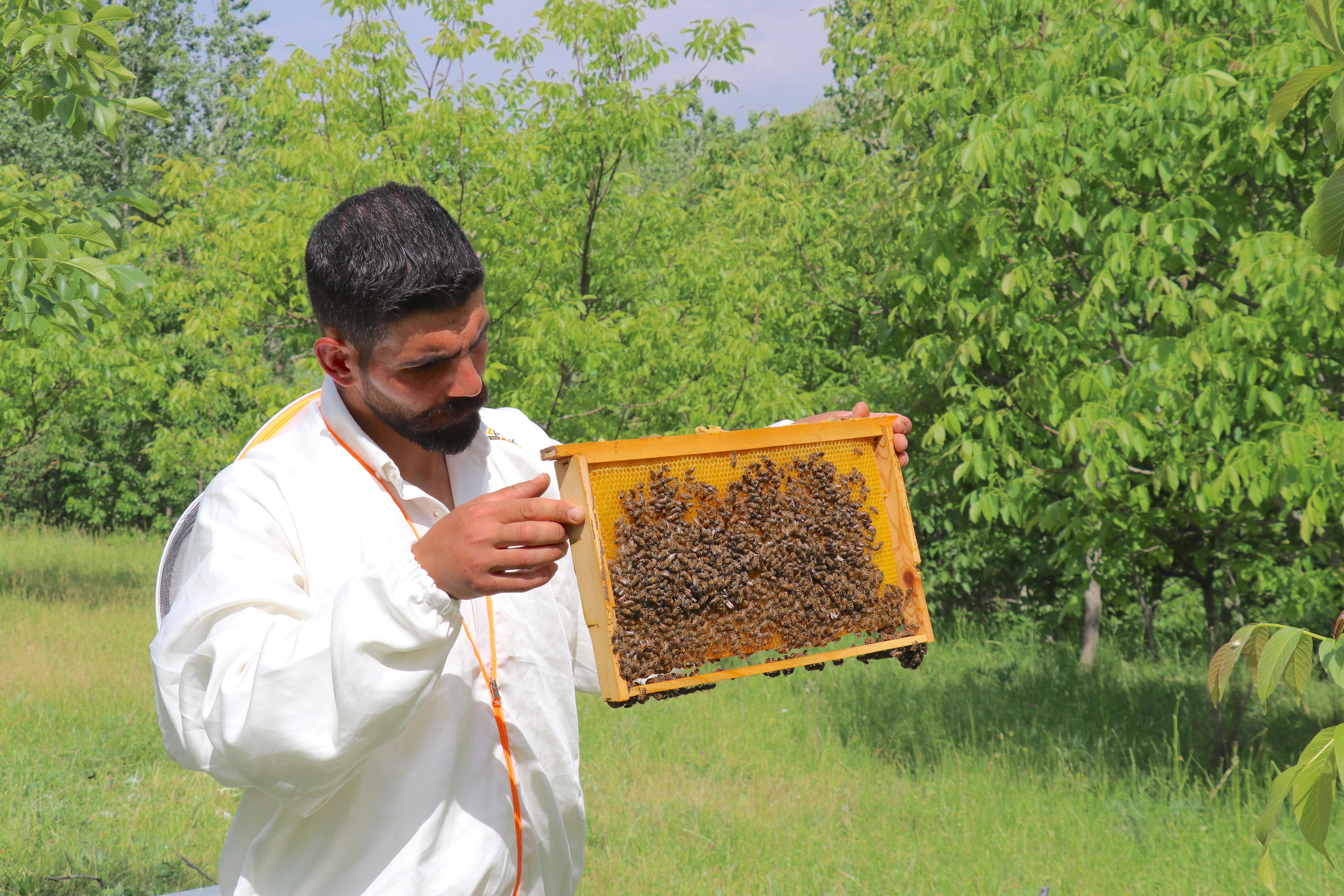 Yılda 2 bin ton üretiyor, kilosunu 300 TL'den satıyor! Yüzde 80 engelli üreticinin ilham veren girişim - 1. Resim