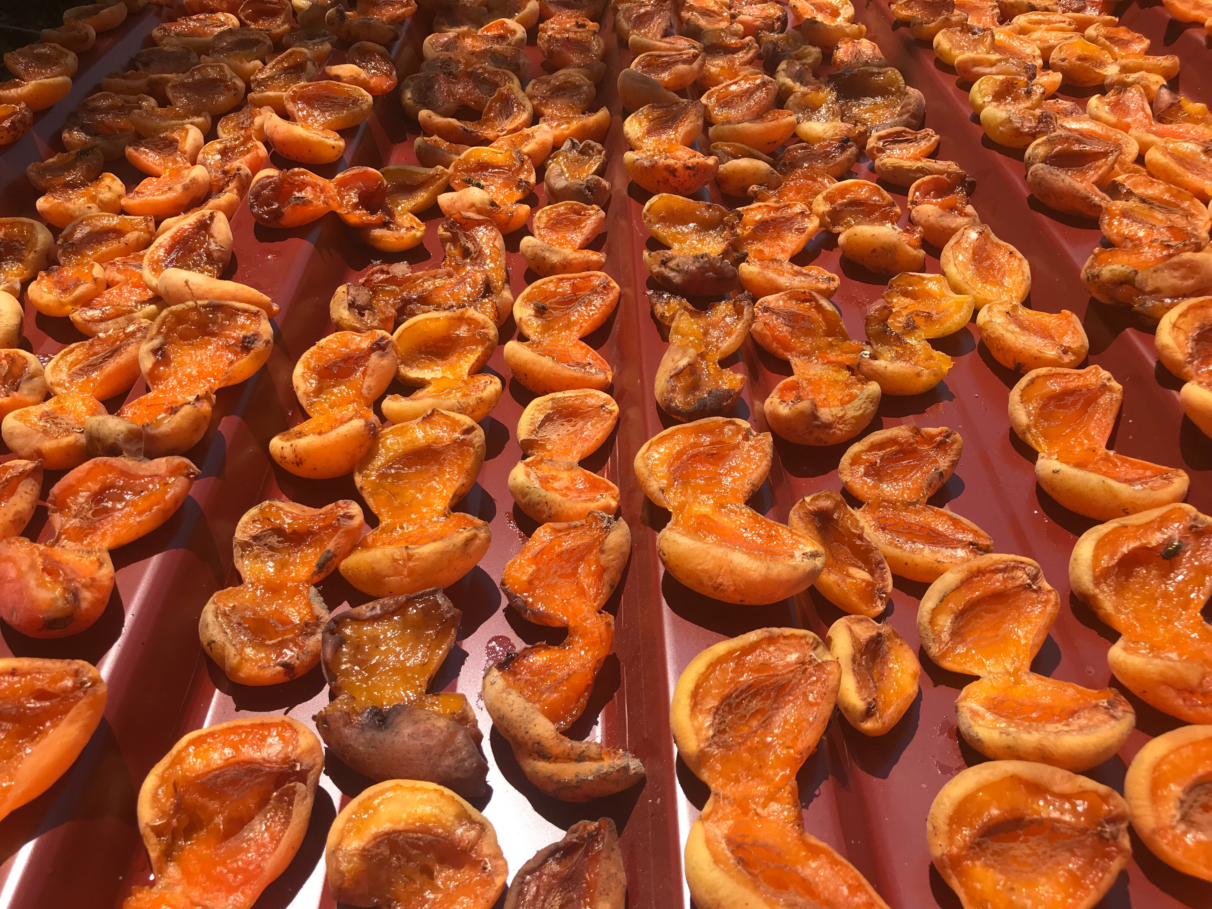 4 kilosu gram altına eş değer! Tazesi 100, kurusu 1.000 liradan satılıyor  - 2. Resim