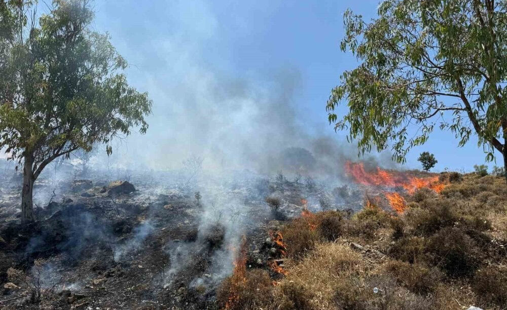 Bodrum da yangın nerede, yangın neden çıktı? Orman Genel Müdürlüğü açıklama yaptı! - 2. Resim