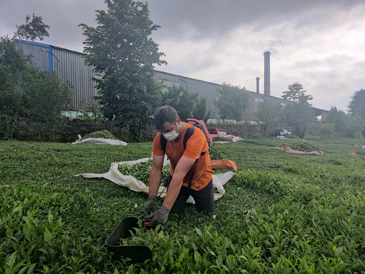 Çayınızın tadı kömürlü çıkarsa şaşırmayın! Çözülemeyen problem isyan ettirdi - 2. Resim