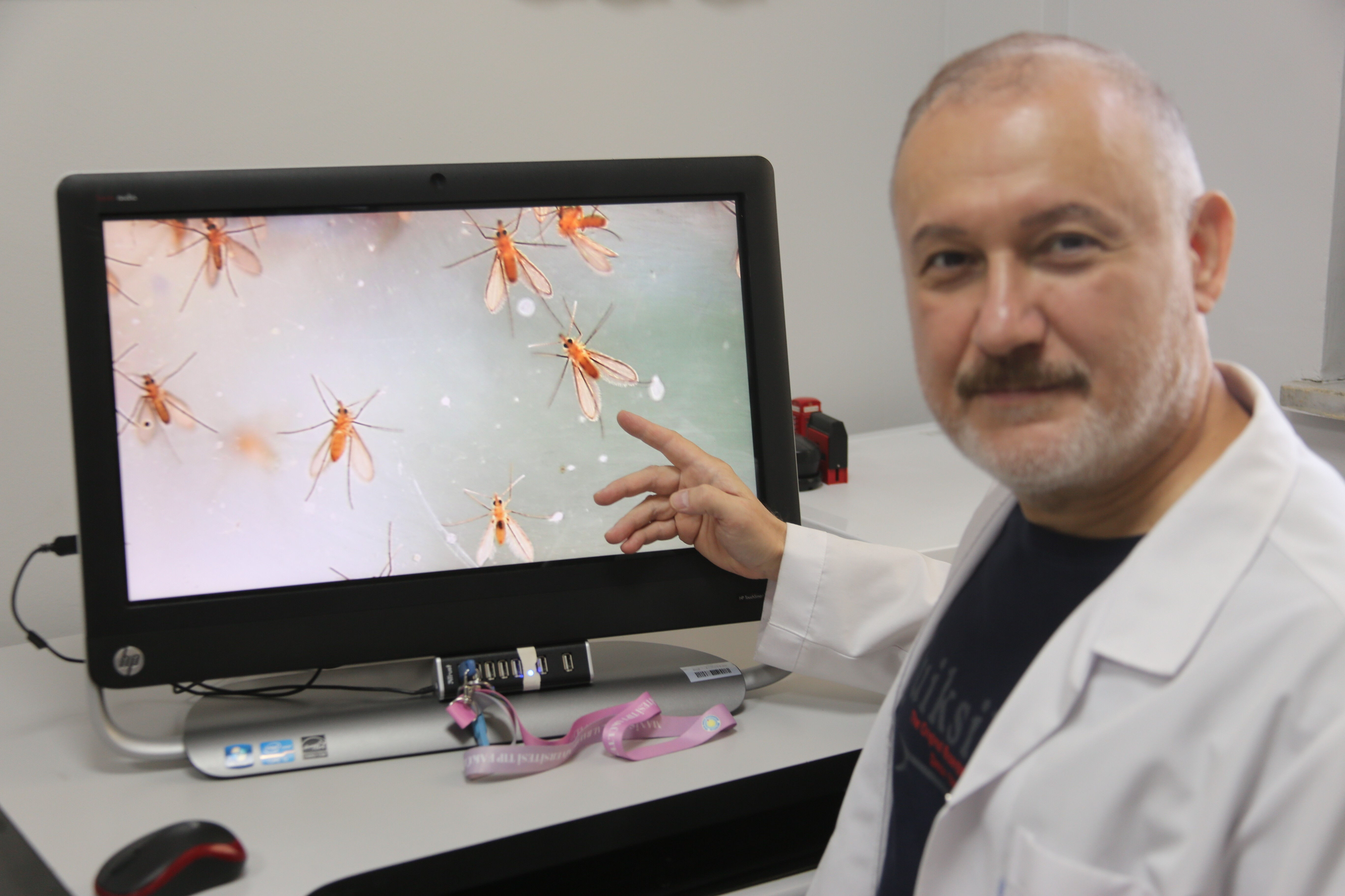 Yaraya benziyor ama öldürebiliyor! Sinsi tehlike “Yakarca” sineği o illerde görülüyor - 2. Resim