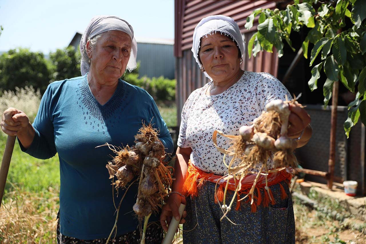 Çin sarımsağından daha kaliteli! Coğrafi işaretli sarımsak ilgi odağı oldu - 3. Resim