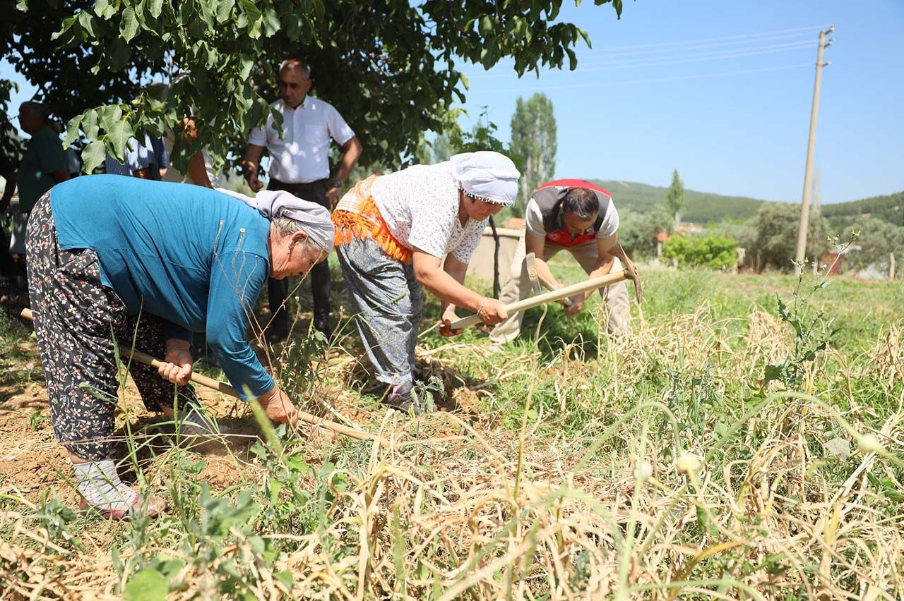 Çin sarımsağından daha kaliteli! Coğrafi işaretli sarımsak ilgi odağı oldu - 2. Resim