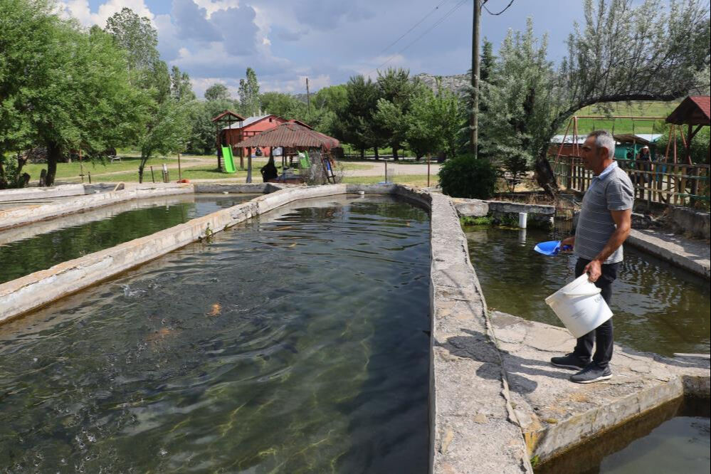 Denize kıyısı olmayan ilimiz Avrupa'ya balık pazarlıyor! Hedef ilk 5'e girmek, yılda 40 milyonu buluyor - 1. Resim