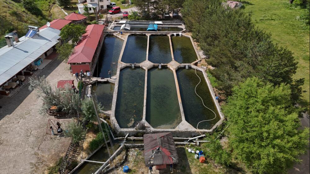 Denize kıyısı olmayan ilimiz Avrupa'ya balık pazarlıyor! Hedef ilk 5'e girmek, yılda 40 milyonu buluyor - 5. Resim