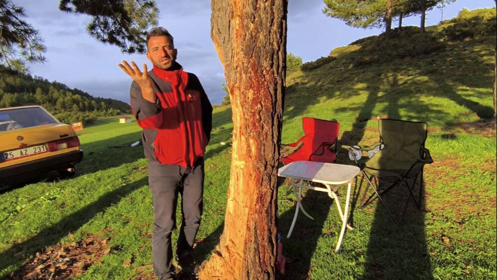 Mangal yakmak için asırlık ağaca kıydılar! - 1. Resim