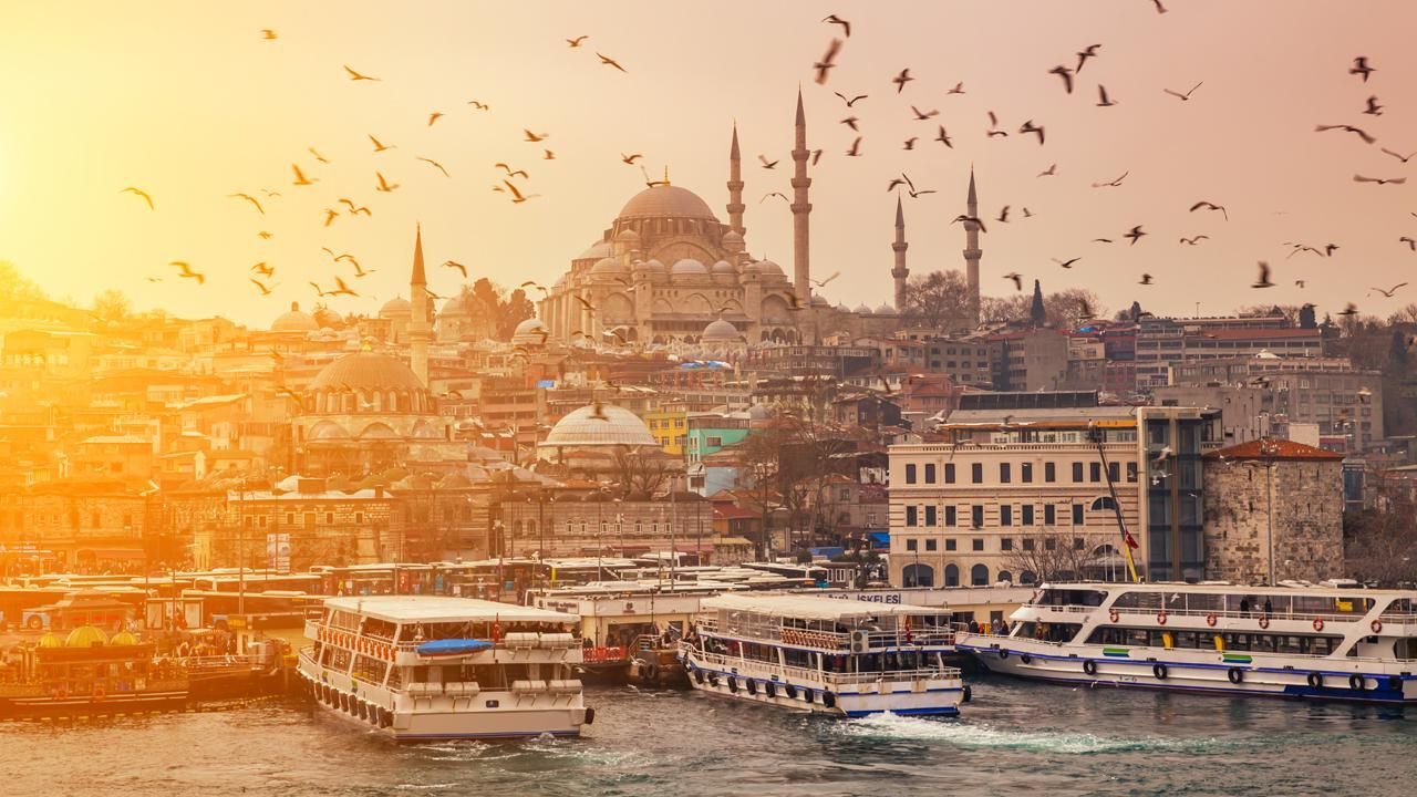 Türkiye dünyaya örnek oldu! Kedi dostu ülke seçildi Türkiye dünyaya örnek oldu! Kedi dostu ülke seçildi