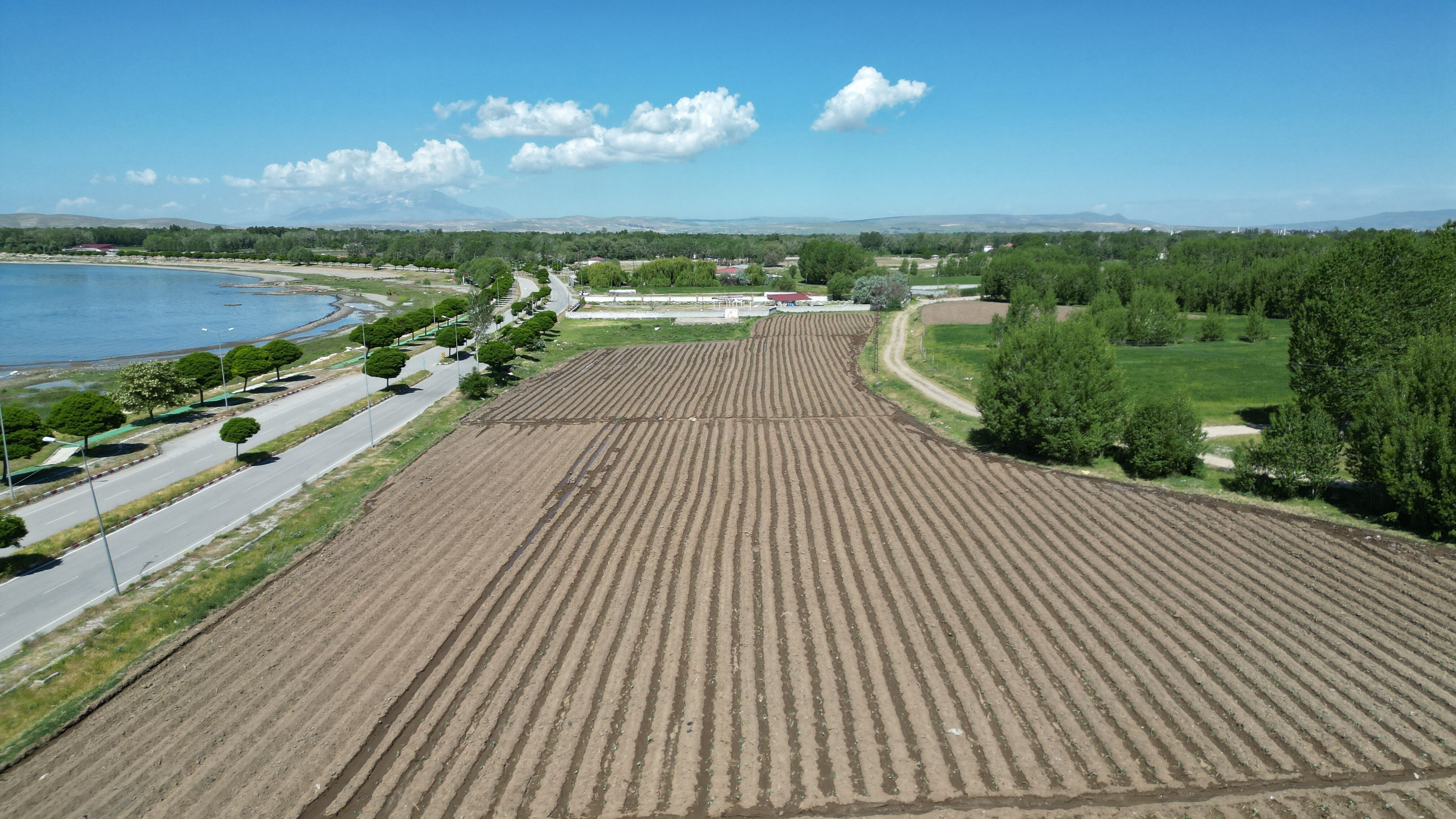 500 çiftçinin ekmek kapısı! Aromasıyla damak çatlatan lezzet toprakla buluştu - 1. Resim