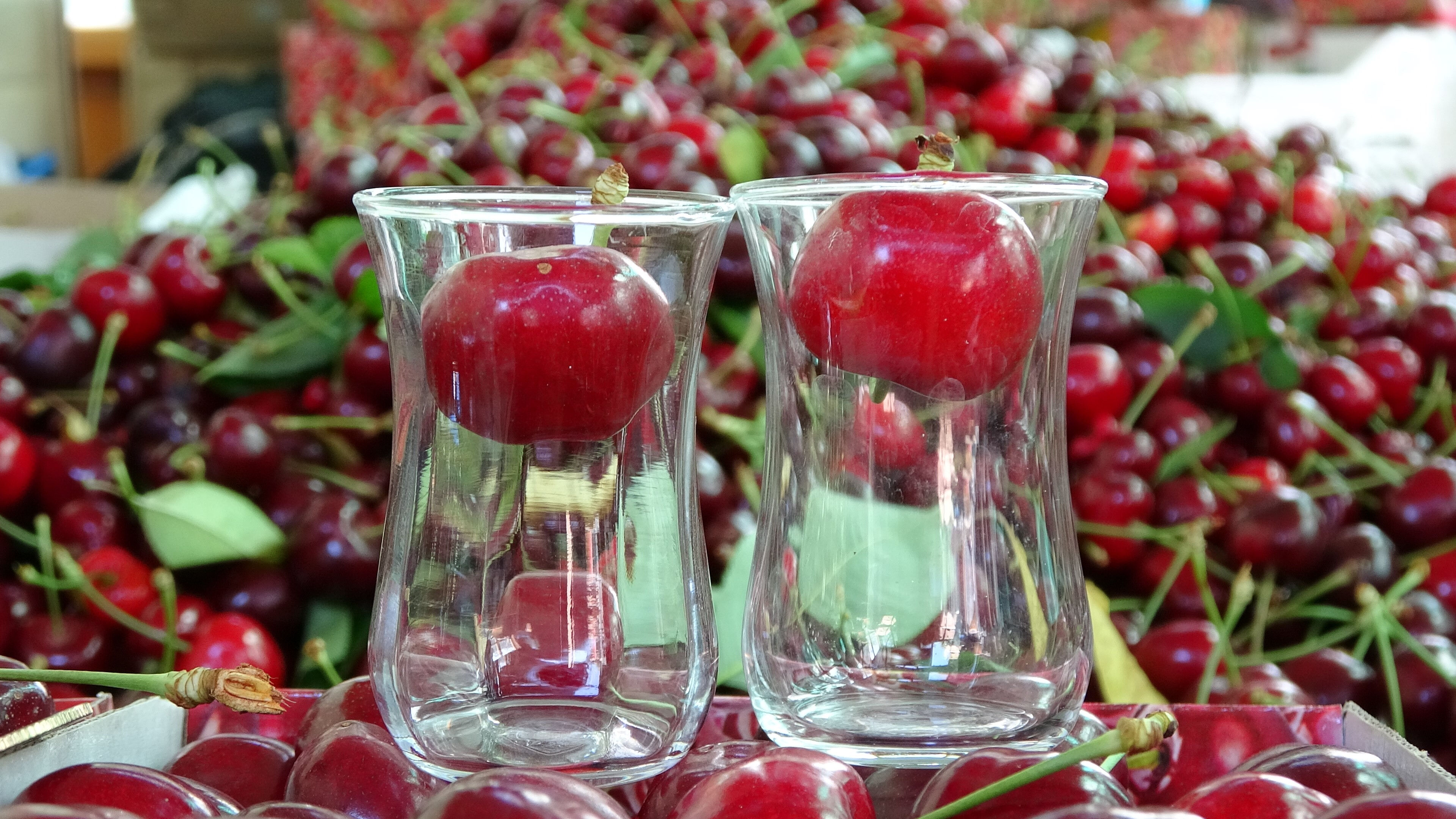 Aromasını toprak yapısından alıyor! Madeni 5 liradan büyük, kilosu 750 lira Aromasını toprak yapısından alıyor! Madeni 5 liradan büyük, kilosu 750 lira - 2. Resim