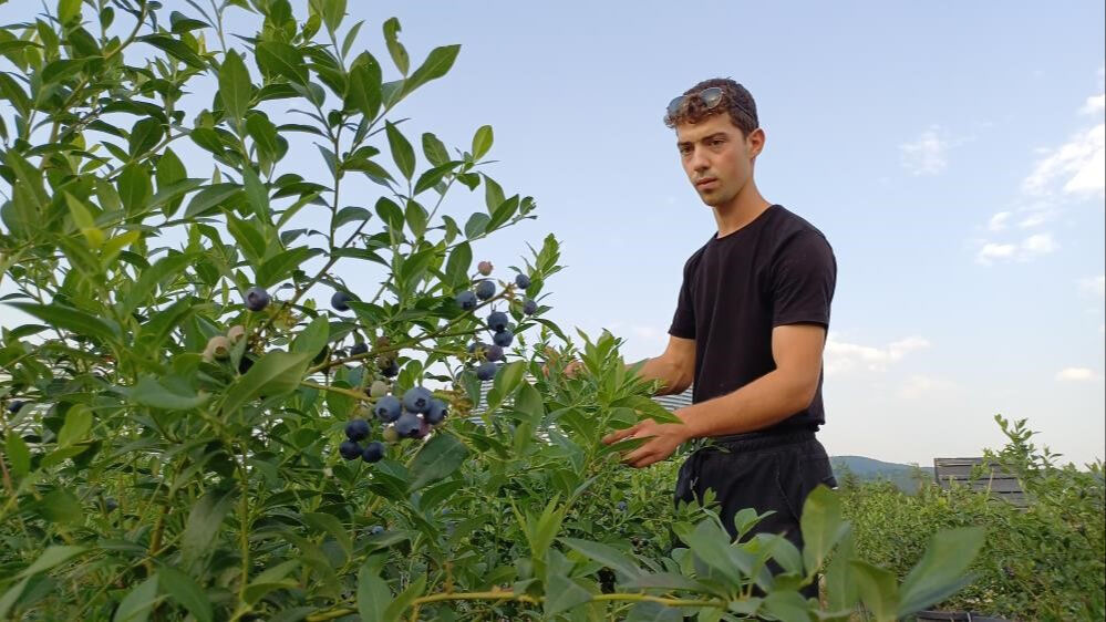 Bu yıl 15, seneye 45 ton mahsul alacak! 22 yaşında kendi bahçesini kurdu, siparişlere yetişemiyor - 3. Resim