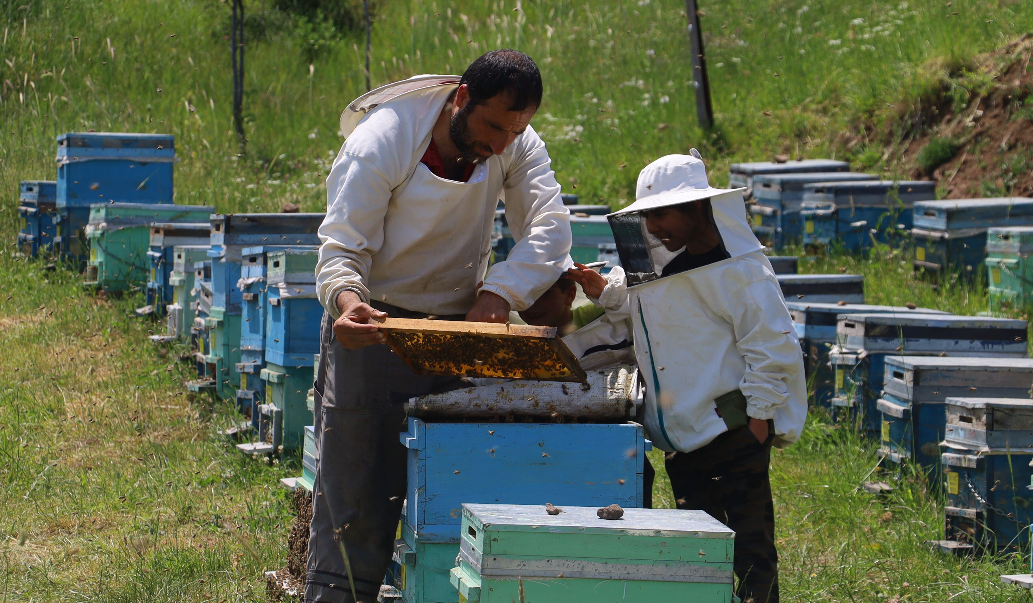 Geçmişte çöpe atıyorlardı! Kilosu 3 bin liradan satılıyor, bir çay kaşığı bir kilogram ete eşdeğer - 3. Resim